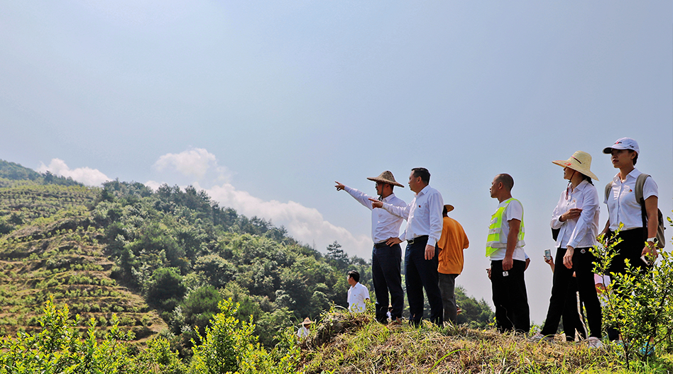 欧美日韩狠狠爱视频a片
